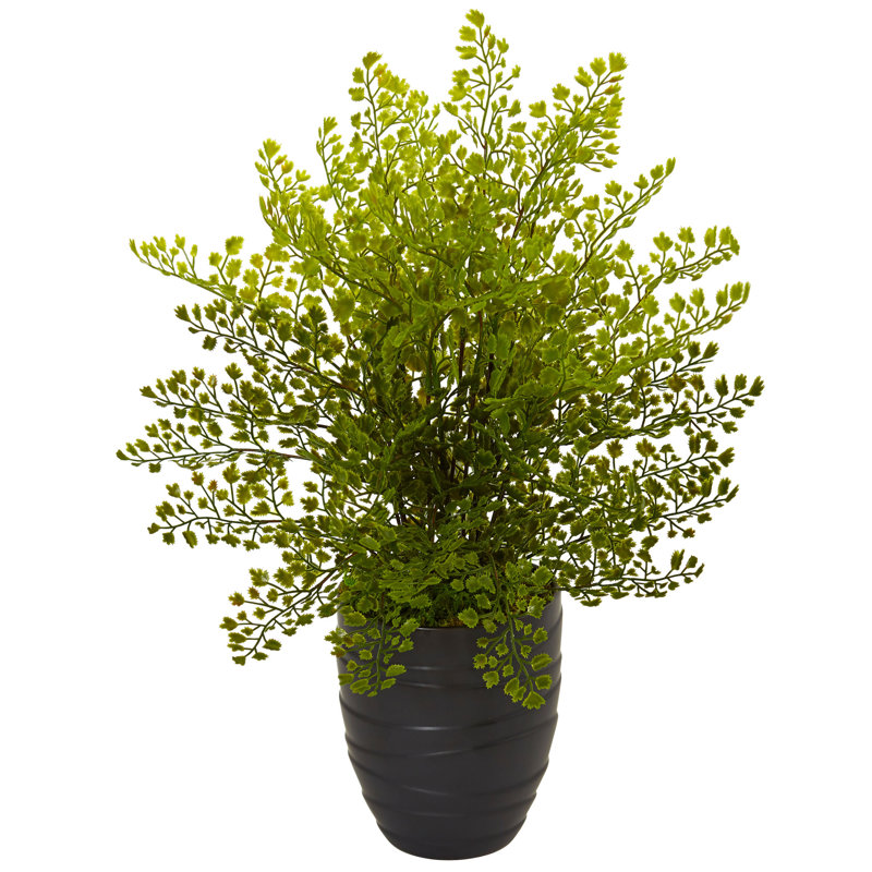 Ebern Designs Artificial Maiden Hair Fern Floor Foliage Plant in Pot